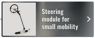 steering module for small mobility